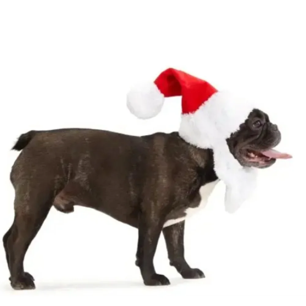 LARGE Bark Christmas Santa Claus Santa Paws Dog Hat Beard Halloween Costume